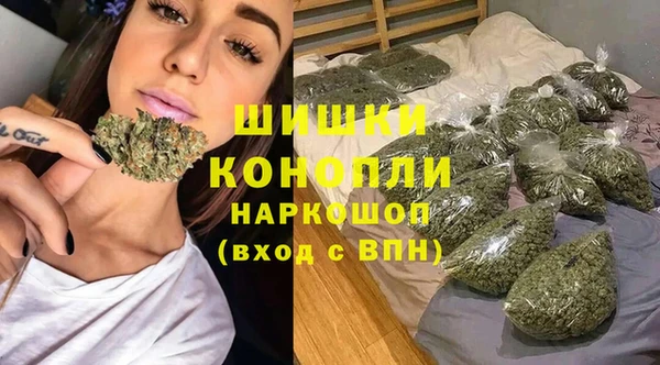 стаф Медвежьегорск