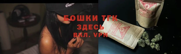 стаф Медвежьегорск