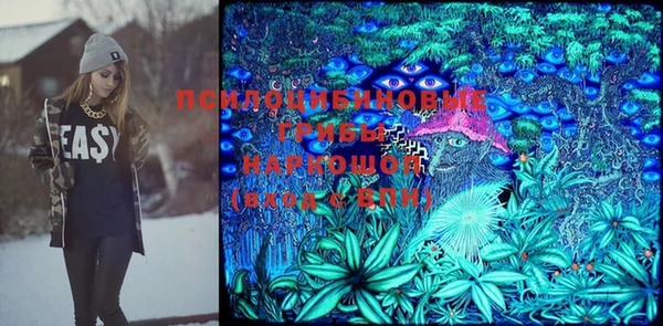 не бодяженный Бородино