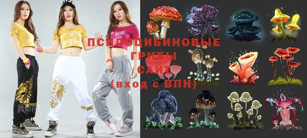 стаф Медвежьегорск