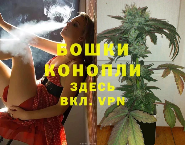 стаф Медвежьегорск