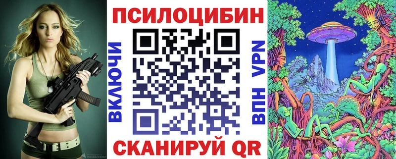 Галлюциногенные грибы Psilocybine cubensis  наркошоп  Гусиноозёрск 